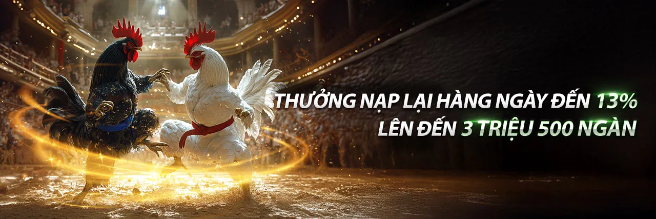 Công cụ tự quản lý của vsbet login