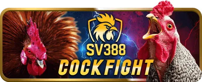 Lời khuyên chơi có trách nhiệm từ vsbet login